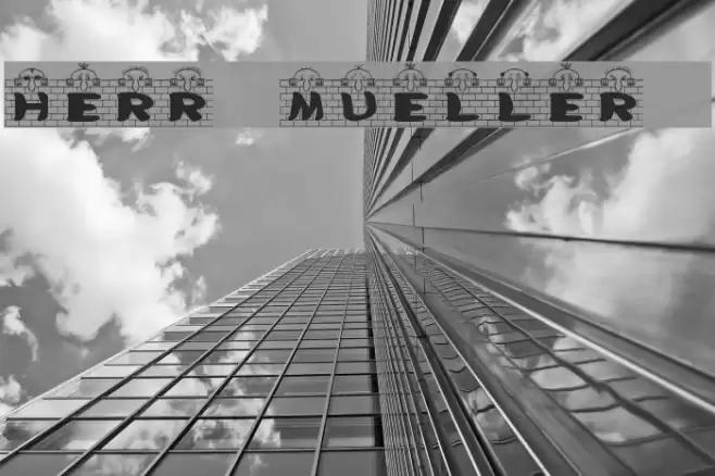 Herr Mueller 1 خط examples