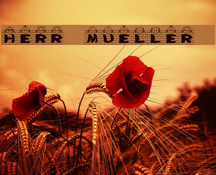 Herr Mueller 1 Font examples