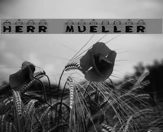 Herr Mueller 1 خط examples