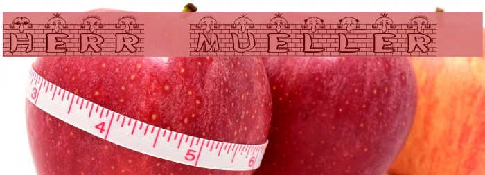 Herr Mueller 2 Font examples