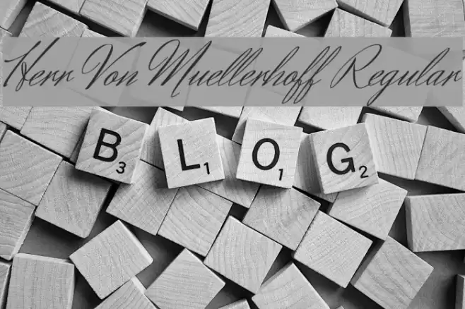 Herr Von Muellerhoff Regular Font examples