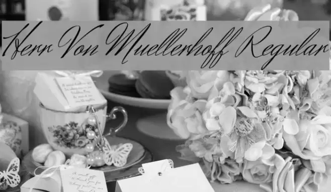 Herr Von Muellerhoff Regular Font examples