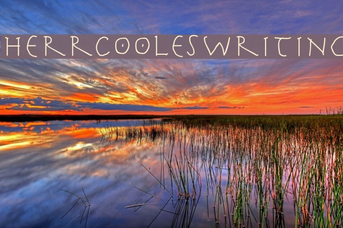 HerrCoolesWriting Font examples