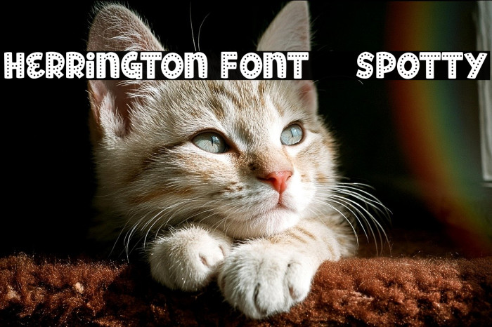 Herrington Font - Spotty Example 1