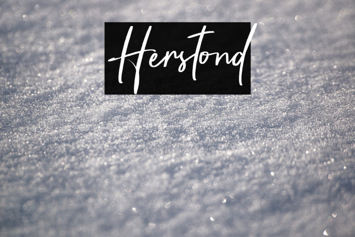 Herstond Example 1