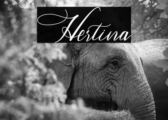 Hertina Font examples