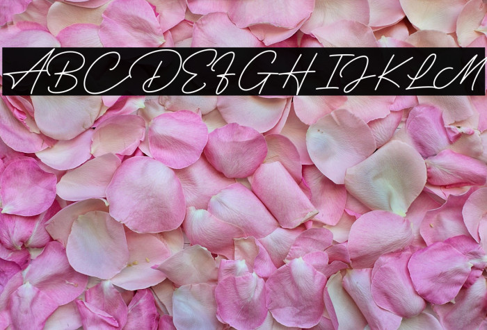 Hertine - Personal Use Example 1