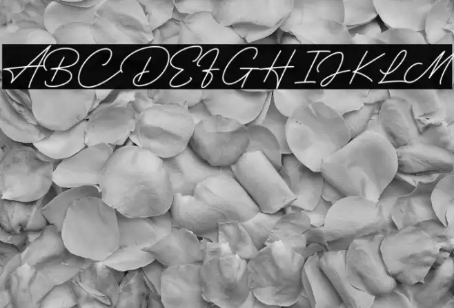 Hertine - Personal Use Font examples