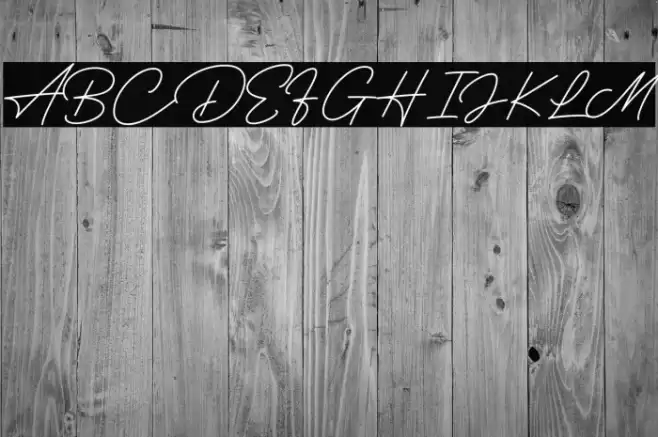 Hertine - Personal Use Font examples