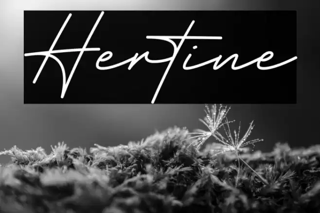 Hertine Font examples