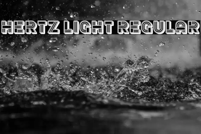Hertz Light Regular Polices examples
