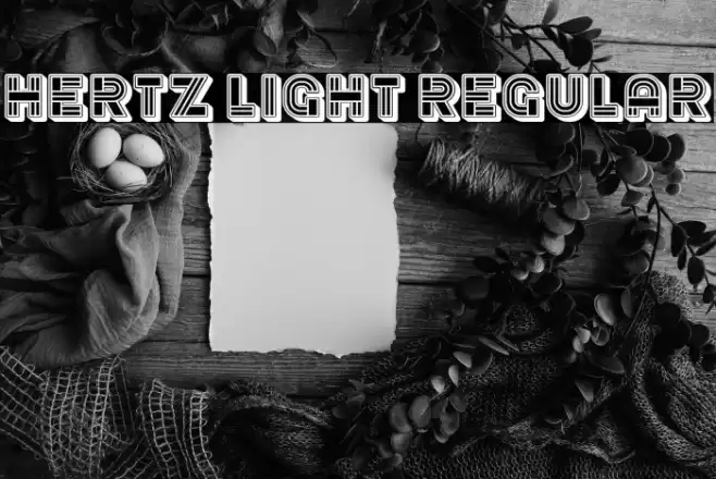 Hertz Light Regular Polices examples