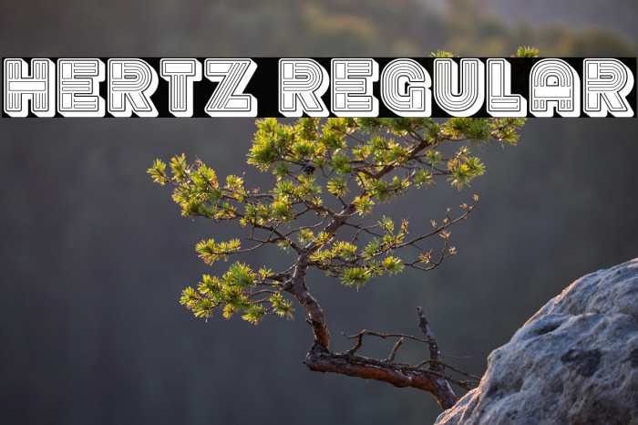 Hertz Regular Example 1