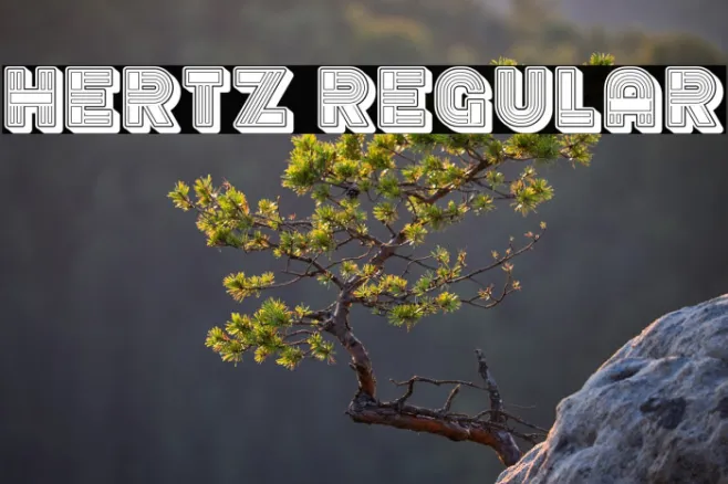 Hertz Regular Example 1