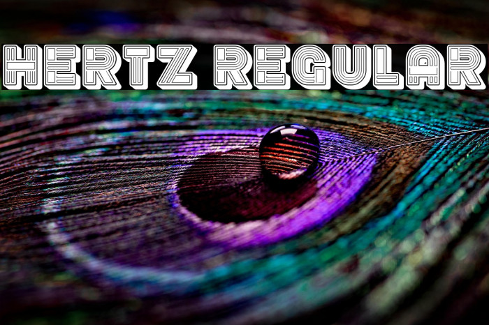 Hertz Regular Example 2