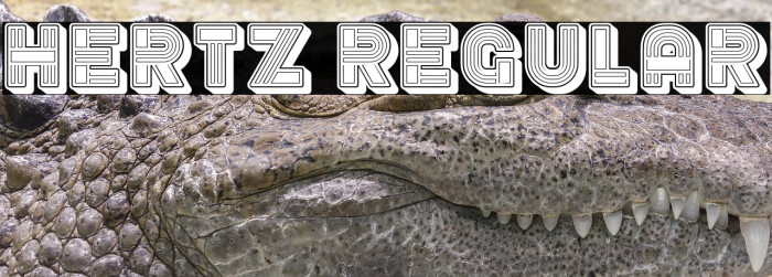 Hertz Regular Example 3