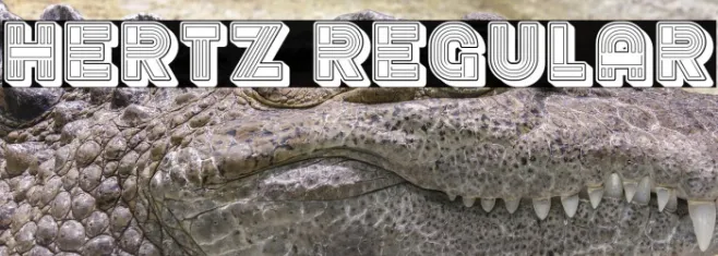 Hertz Regular Example 3