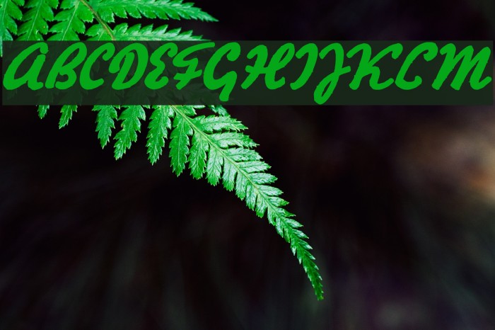 HertzOscillations Font examples