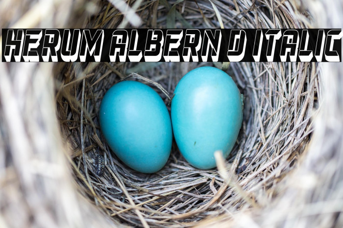 Herum Albern 3D Italic Example 2