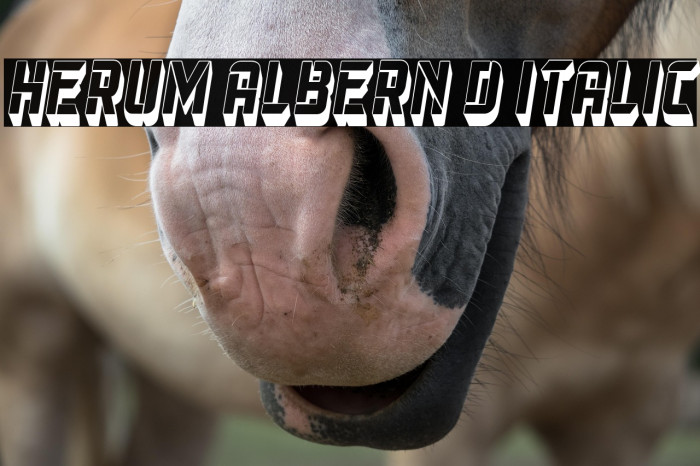Herum Albern 3D Italic Example 3