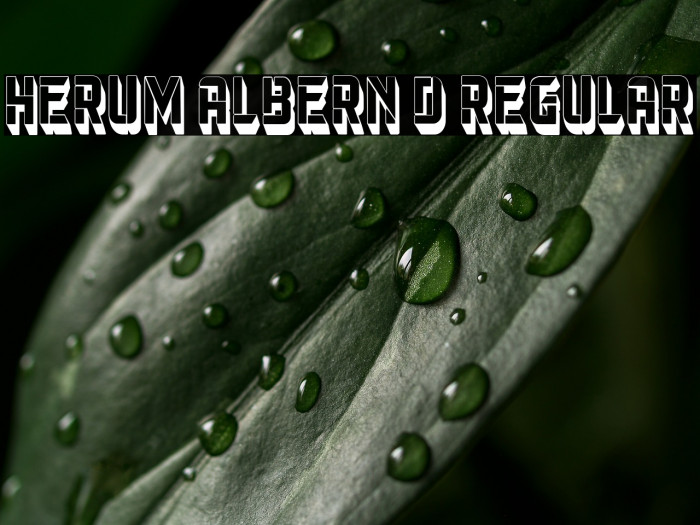 Herum Albern 3D Regular Example 1