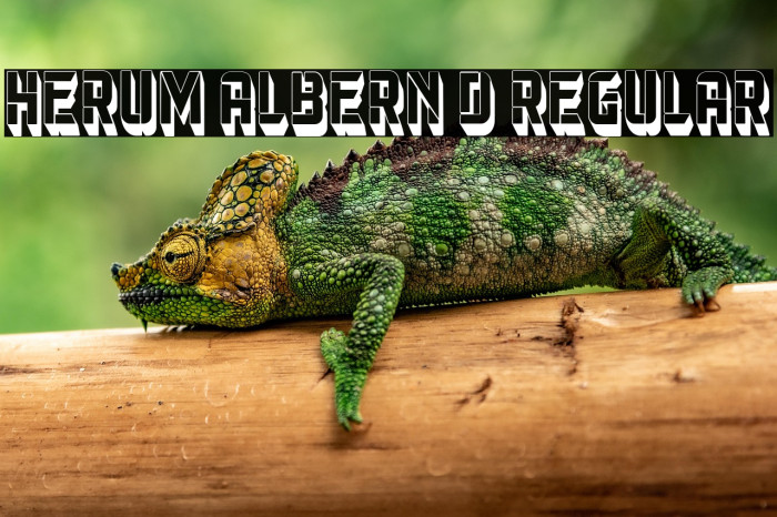 Herum Albern 3D Regular Example 3