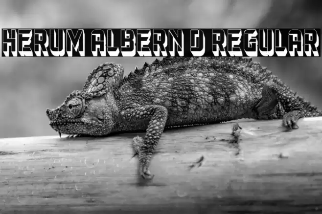 Herum Albern 3D Regular Font examples