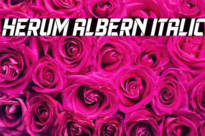Herum Albern Italic Example 1