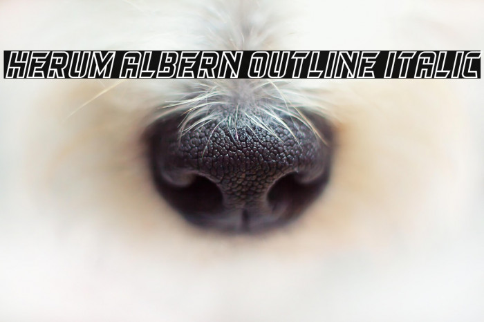 Herum Albern Outline Italic Example 2