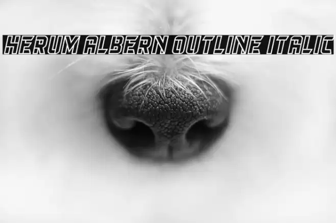 Herum Albern Outline Italic Font examples