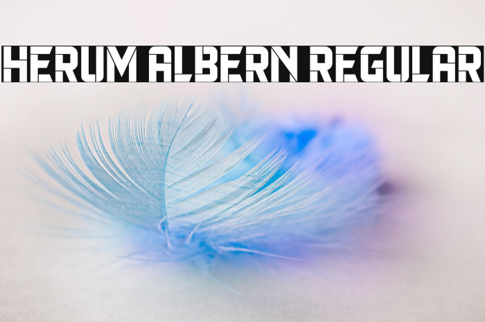 Herum Albern Regular Example 1