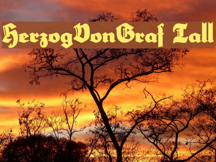 HerzogVonGraf Tall Font examples