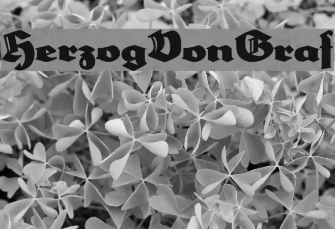 HerzogVonGraf Font examples