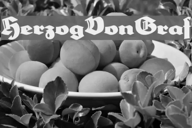 HerzogVonGraf Font examples