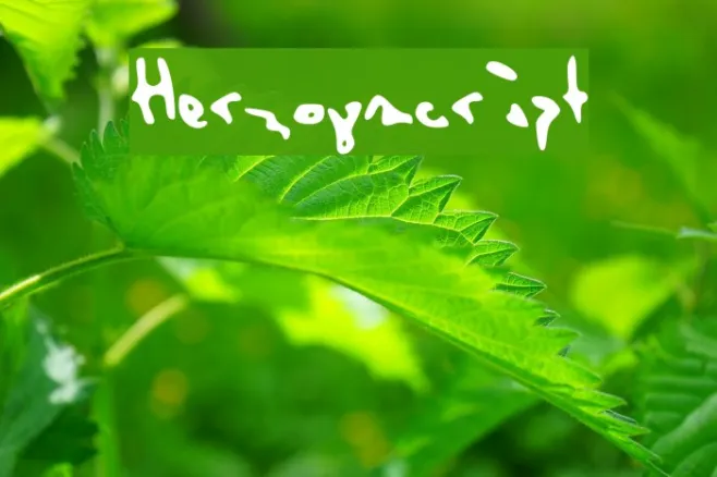 Herzogscript Example 2