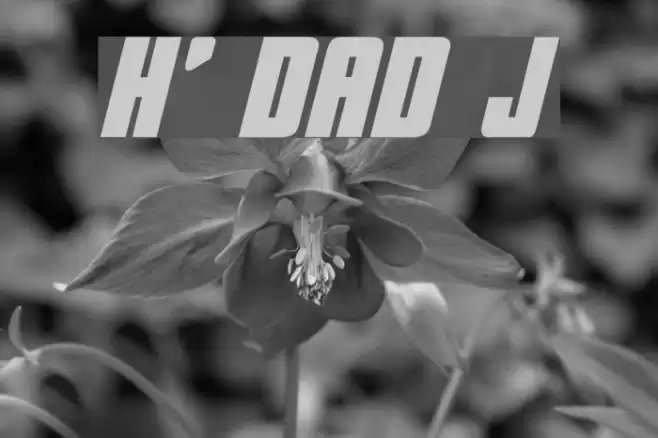 He's Dead Jim Font examples