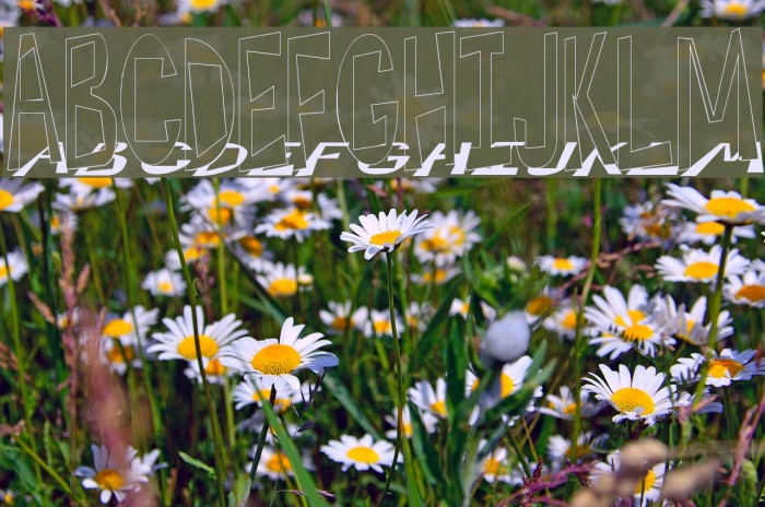 Hesitant Shadow Font examples