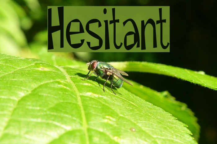 Hesitant Font examples