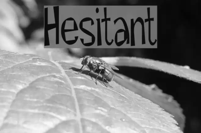 Hesitant Шрифта examples