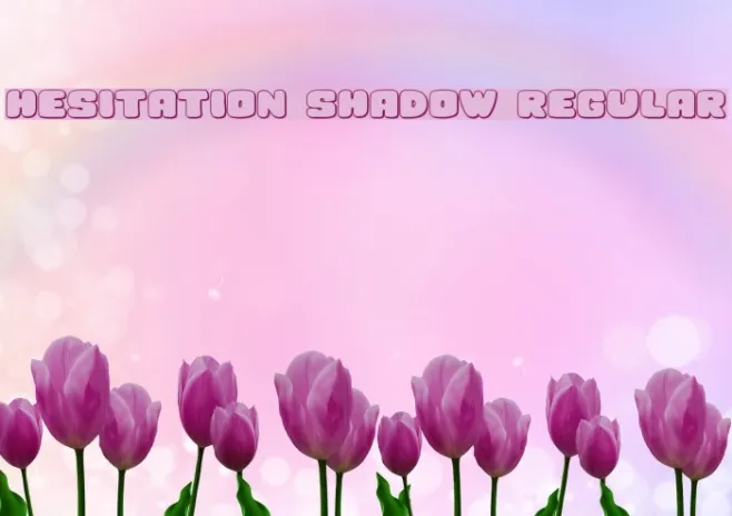 Hesitation Shadow Regular Example 1