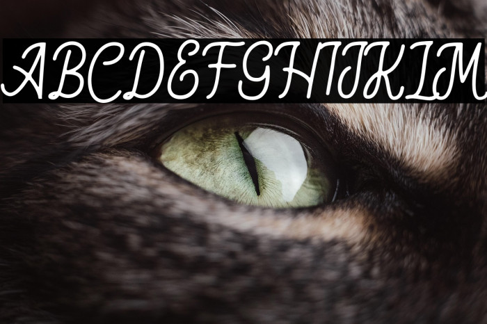 Hesland Regular Example 1