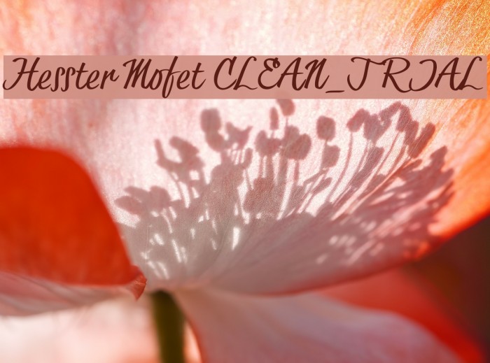 Hesster Mofet CLEAN_TRIAL Font examples