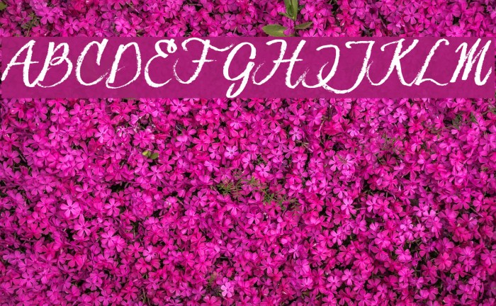 Hesster Mofet DIRTY_TRIAL Font examples