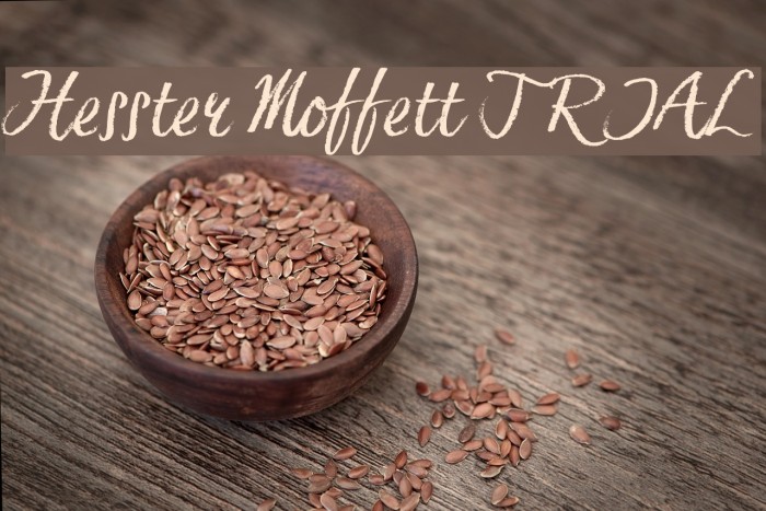 Hesster Moffett TRIAL Font examples