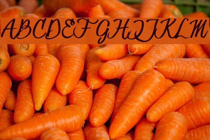 HessterMofetCLEAN_TRIAL Example 2