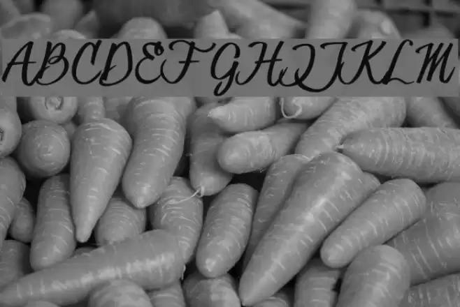 HessterMofetCLEAN_TRIAL Font examples