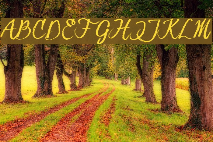 HessterMofetDIRTY_TRIAL Font examples