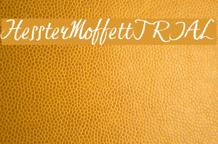 HessterMoffettTRIAL Font examples