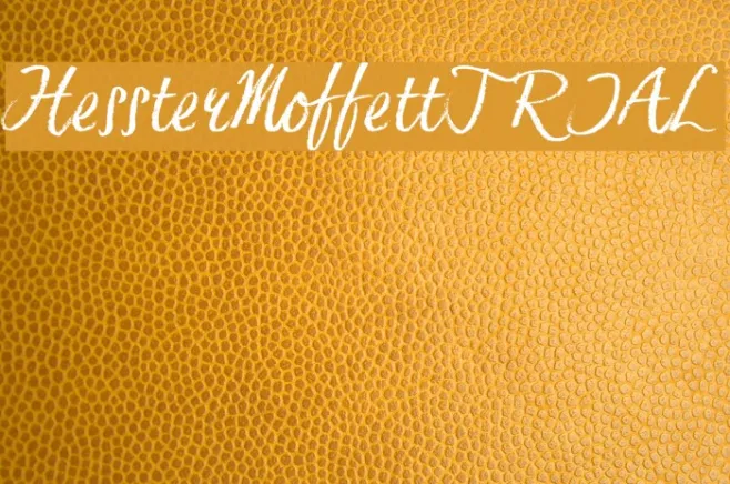 HessterMoffettTRIAL Example 3