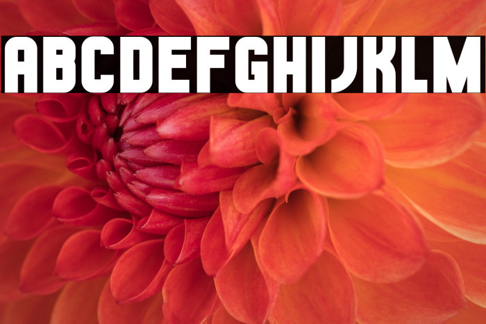 Hestia Flame Example 2